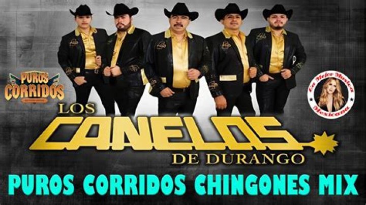 Corridos Chingones Mix 2024 abonado en tiempo real recuento