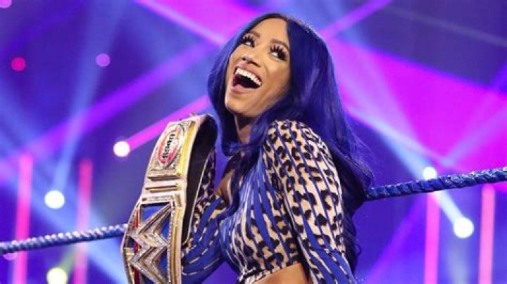 WWE's Sasha Banks in Bathing Suit Has "100 Vision State of Mind" — Celebwell